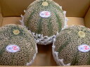 【贈り物に最適】【島根アムスメロン5kg箱】特大玉3玉入り島根のフルーツ!夏のメロン7月中旬頃~順次発送