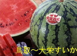 旬の走り5月下旬ごろより発送予定鳥取西瓜の本場！大栄すいか2Lサイズ2玉産地箱入り【鳥取の旬のフルーツ「夏」】【同梱不可】1配送先に1箱の発送【すいか　取り寄せ】【旬の果物　フルーツ　くだもの】