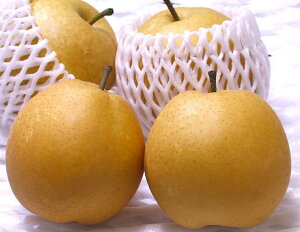 【希少品】甘太(かんた)梨鳥取県産大玉3個入り箱鳥取ブランド新品種の梨!新甘泉に続く「甘甘シリーズ」10月上旬ごろより順次発送予定