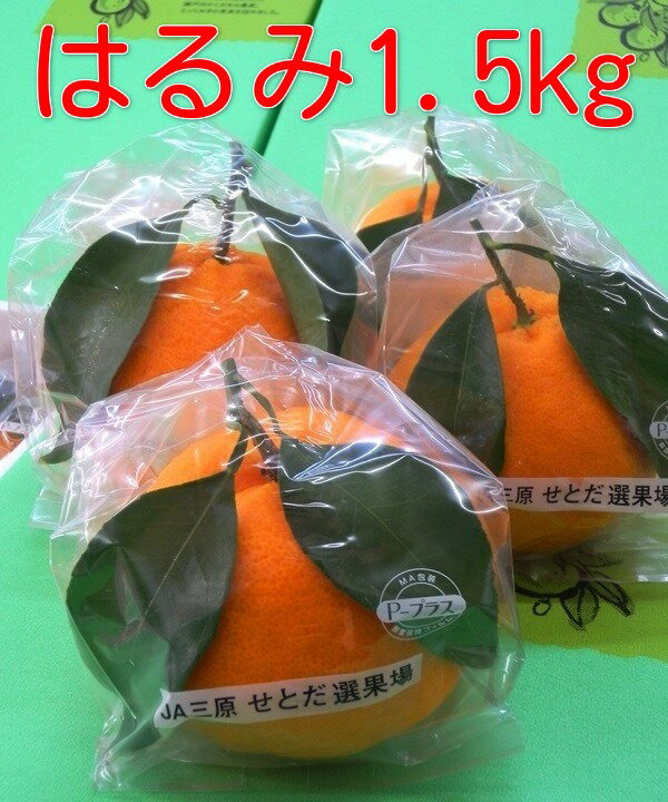 広島せとだ自然熟「葉付きはるみ」広島「はるみ」みかん1.5kg箱6個入2月下旬ごろより順次発送予定【日時指定不可】同梱不可の商品有り