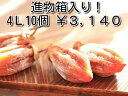 西条柿の干し柿4L寸10個入(約450g)進物箱12月中旬より順次予定畑ほし柿認定品まるはた干し柿