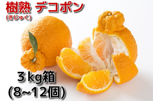 蒲郡産温室デコポン3kg箱【愛知県の旬の果物】樹熟でこぽん【進物に最適】不知火しらぬい4月上〜中旬より順次発送 蒲郡産温室デコポン3kg箱【愛知県の旬の果物】樹熟でこぽん【進物に最適】不知火しらぬい4月上〜中旬より順次発送