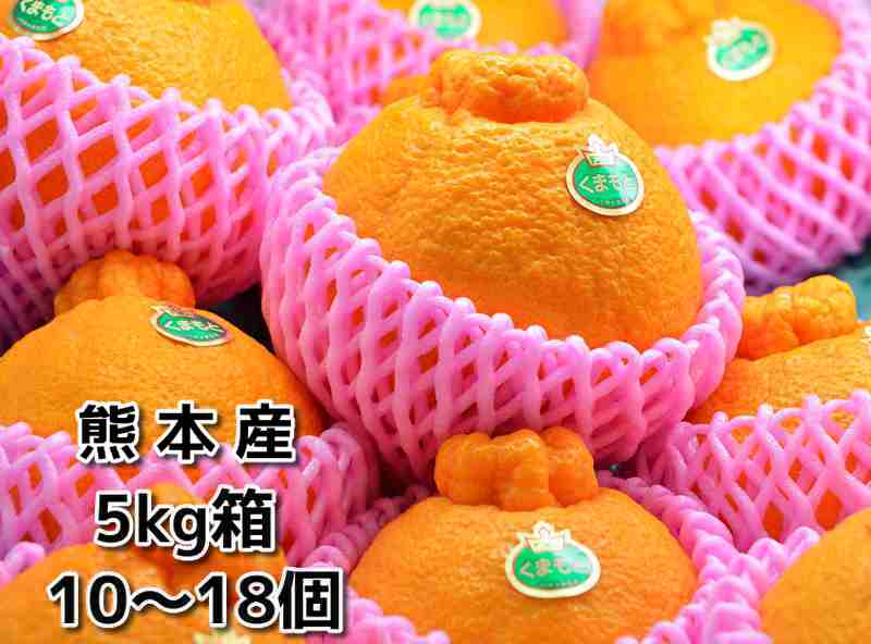 熊本産デコポン5kg箱くまもと産でこぽん(10〜18入）【贈り物に最適】【進物】【取り寄せ でこぽん】　【デコポン 取り寄せ】JA熊本果実連産【不知火】12月中旬ごろより発送開始予定