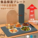 ホットプレート 電気保温トレイ 食品保温プレート 折りたたみ式 3段階の温度設定 60℃/80℃/100℃ 多機能食品断熱ボード フードウォーマー ホットプレート 収納袋付き お手入れも簡単 ケータリング ホームディナー用食品保温ボード
