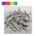 ホワイトセージ 浄化用 30g 無農薬 カリフォルニア産 whitesage リーフタイプ 浄化 ハーブ(4)