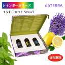 迷ったらこれ！ドテラ エッセンシャルオイル イントロキット  ドテラ アロマオイル doTERRA ドテラ アロマ ドテラ ラベンダー ドテラ ペパーミント ビギナーさんに お得セット セット