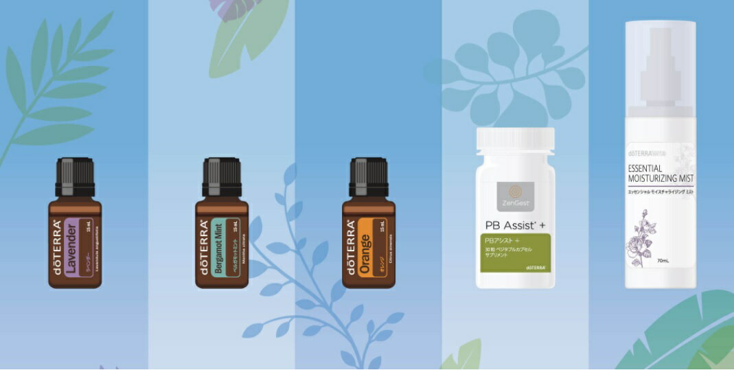 ドテラ バランスキット MONTH-2 発売 ＜数量限定＞5点セット doTERRA ドテラ アロマ 人気 アロマのある暮らし