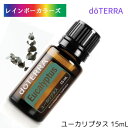 2本だけ謝恩価格 ステイホーム応援 ドテラ アロマオイル ユーカリプタス doTERRA ドテラ アロマ 精油 エッセンシャルオイル 人気 アロマのある暮らし