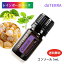 ɥƥ ޥ ֥ɥ 󥽡 ŤեϤȼڷϤΥå󥷥륪 doTERRA ɥƥ   å󥷥륪 ͵ ޤΤ餷 ɥƥ ֥ɥ