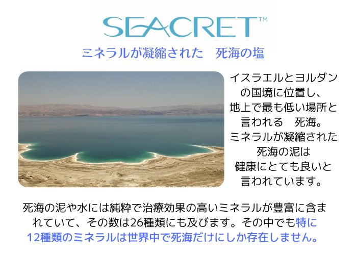 Dcm 一輪車用エアータイヤ 黒 ガーデニング園芸用品 園芸用品 赤 運搬車 園芸道具