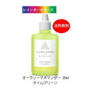 メントール クリスタル 通常サイズ (100g) 送料無料 ハッカ 結晶 天然 薄荷脳 上質 薄荷 抽出 天然メントール 結晶 L-メントール メントール含有量98.0％以上(インド産)ミストスプレー ハッカ油 より多様 ＆mom