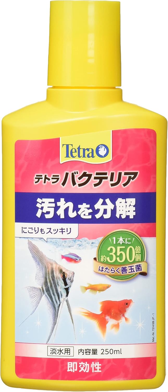 �ƥȥ� �Х��ƥꥢ 250ml�ʻ��Ѵ���2025.4��