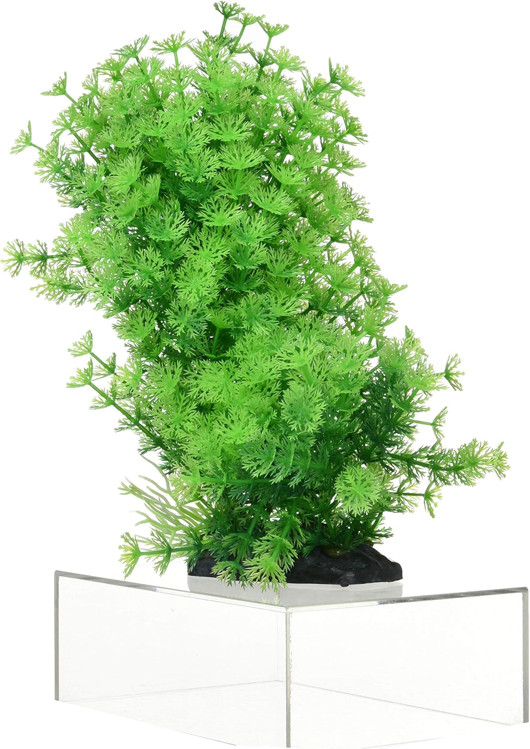 �ƥȥ� �ե쥭���֥�ץ��� FP-7