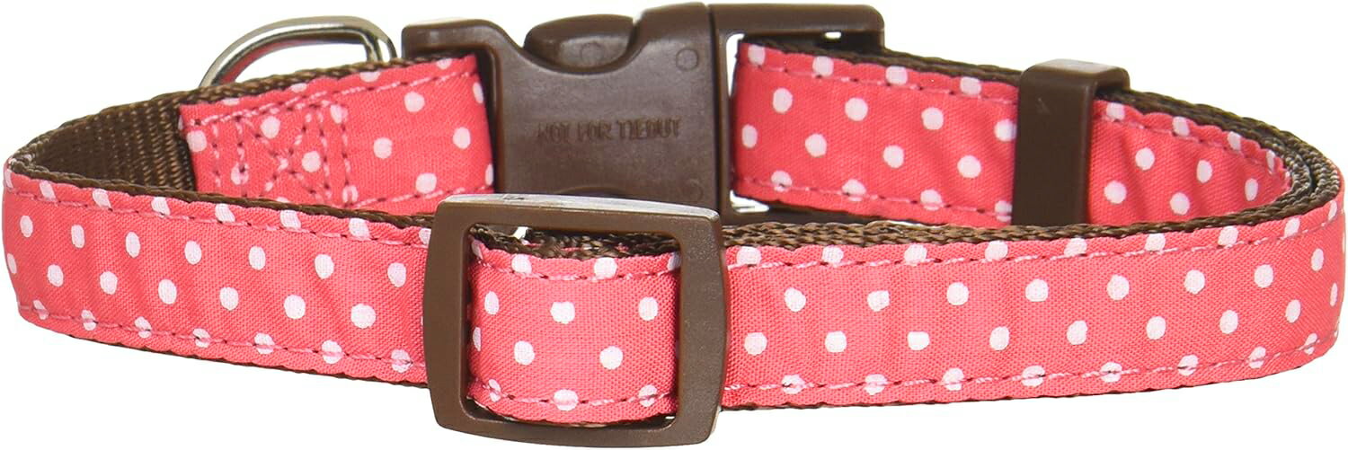 BDチョコベリーカラーS【メール便・送料無料・同梱不可】