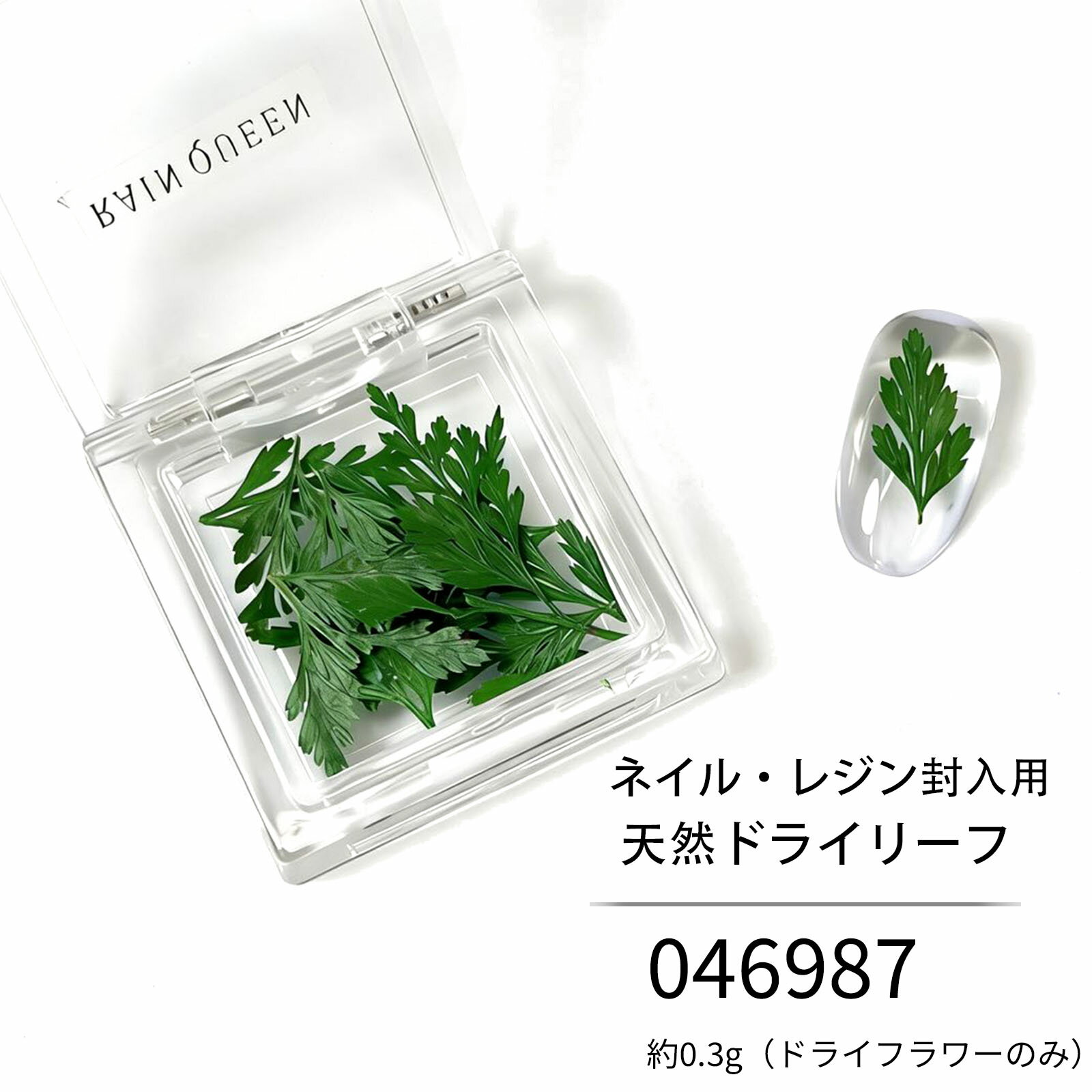 Rakuten - ネイル・レジン用 ドライフラワー リーフグリーンリーフ素材 天然 押し花【約0.3g】