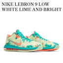 【お取り寄せ商品】NIKE LEBRON 9 LOW WHITE LIME AND BRIGHT MANGO ナイキ レブロン9 ロー ホワイト ライム アンド ブライト マンゴー DO9355-300