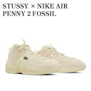 【お取り寄せ商品】STUSSY × NIKE AIR PE