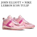 【お取り寄せ商品】JOHN ELLIOTT × NIKE LEBRON ICON TULIP PINK ジョン・エリオット × ナイキ レブロン アイコン チューリップピンク AQ0114-600