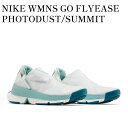 楽天RAISE【お取り寄せ商品】NIKE WMNS GO FLYEASE PHOTODUST/SUMMIT WHITE/MINERAL/GEODE TEAL ナイキ ウィメンズ ゴー フライイーズ フォトンダスト/サミットホワイト/ミネラル/ジオードティール DR5540-013