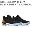 ڤ󤻾ʡNIKE LEBRON 16 LOW BLACK WHEAT SOUNDTRACK ʥ ֥16  ֥å  ɥȥå CI2668-001