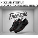 NIKE SB STEFAN JANOSKI DOERNBECHER (2015) ナイキ SB ステファン ジャノスキー ドーレンベッカー (2015) 642180-006