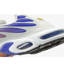 【海外限定 お取り寄せ商品】NIKE AIR MAX PLUS PERSIAN VIOLET LIGHT WILD MANGO (WOMEN'S) DZ3670-003 メンズ レディース 人気 おしゃれ