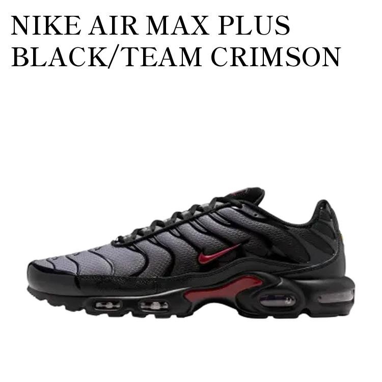 【お取り寄せ商品】NIKE AIR MAX PLUS BLACK/TEAM CRIMSON ナイキ エアマックスプラス ブラック/チームクリムゾン DM0032-032 メンズ レディース 人気 おしゃれ