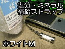 塩分 ミネラル 補給 ボトル(M)と詰め替え用 岩塩100gセット ヒマラヤ岩塩 クリスタル岩塩ホワイト【 塩 熱中症 対策 予防 岩塩 】 携帯 ストラップ カプセル タブレット 粒