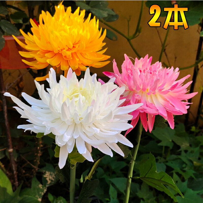 ソーラーライト 花 おしゃれ 屋外 埋め込み式 防水 暖色系 LED ガーデン 夜間自動点灯 太陽光発電 常夜..