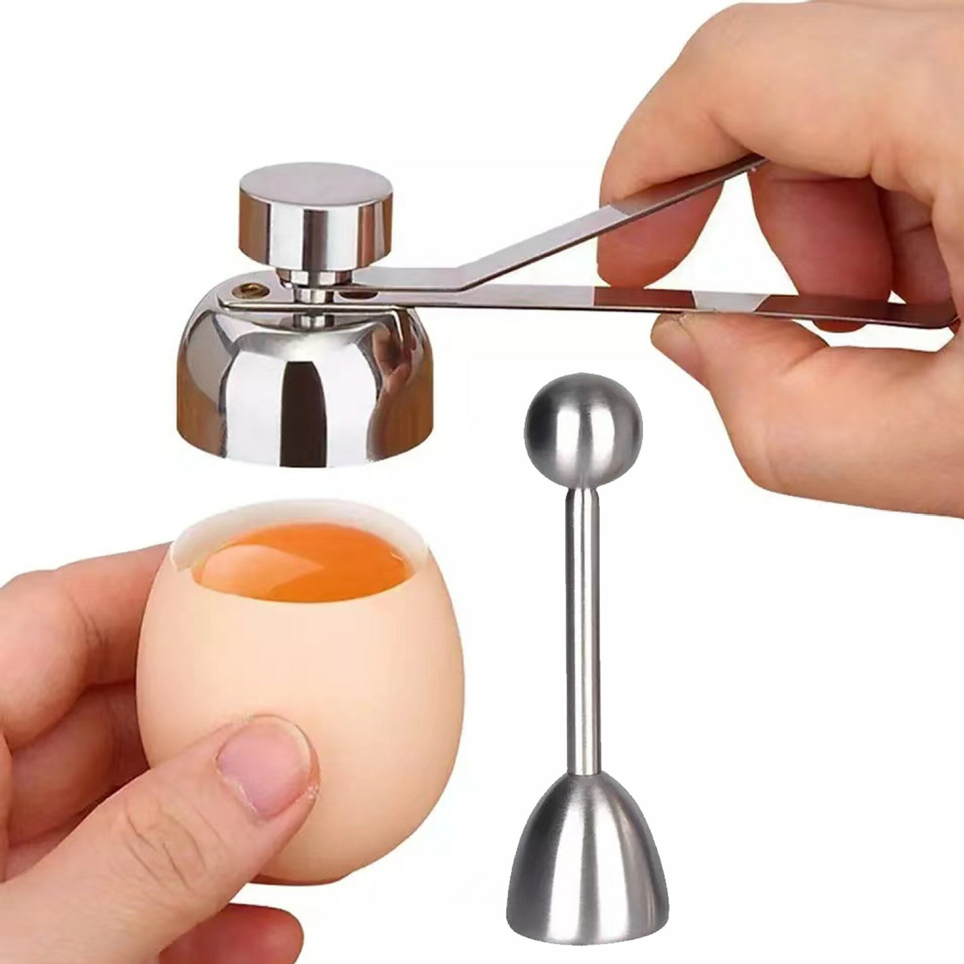 åå γ̳  굡 ư  å֥졼  å󥬥å