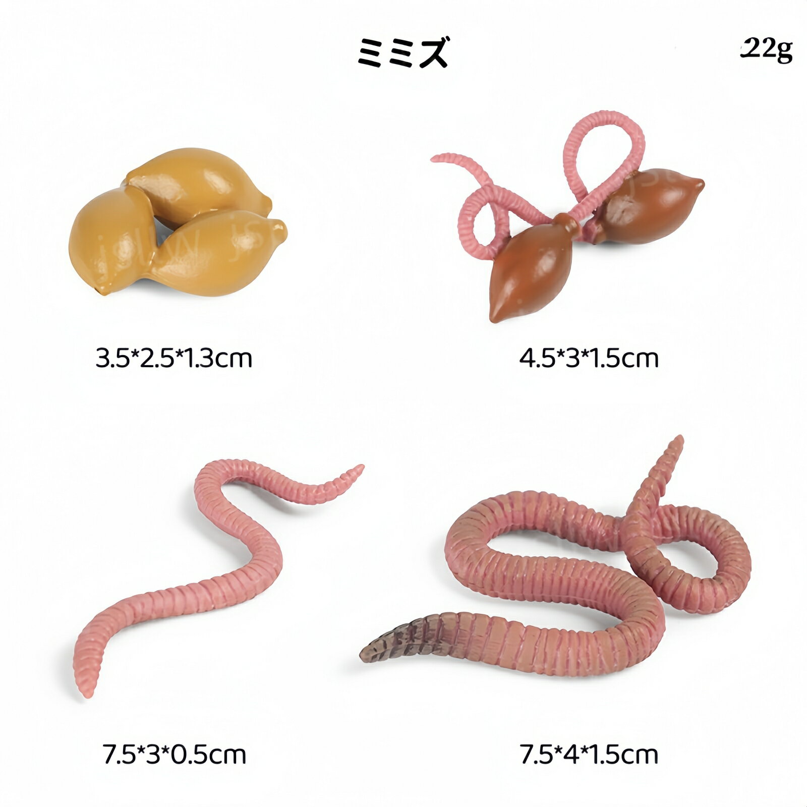 ミミズの成長サイクル模型 ミミズの成長過程ミニチュア模型 ミミズの一生 知育玩具 ミミズのライフサイクル リアル昆虫模型 おもちゃ 子供学習玩具 置物 教材 動物 幼稚園 小学校 科学教育 理科教材 生物教材 科学教材 生物観察 虫好き