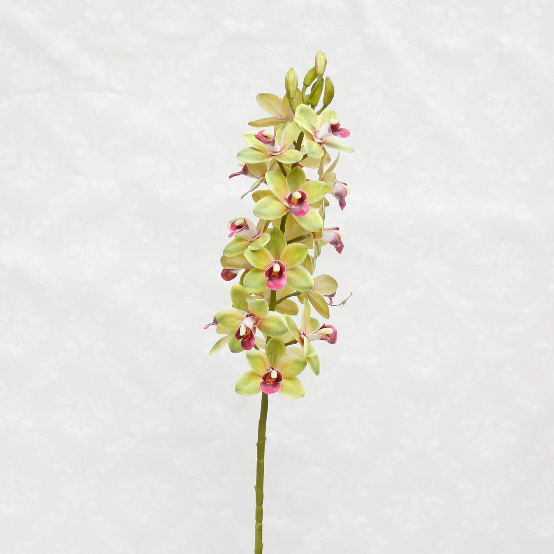 åȥ饤㤨֥ꥢʥߥ졼 - ȤΤθĳ륯ե 80cmפβǤʤ2,480ߤˤʤޤ