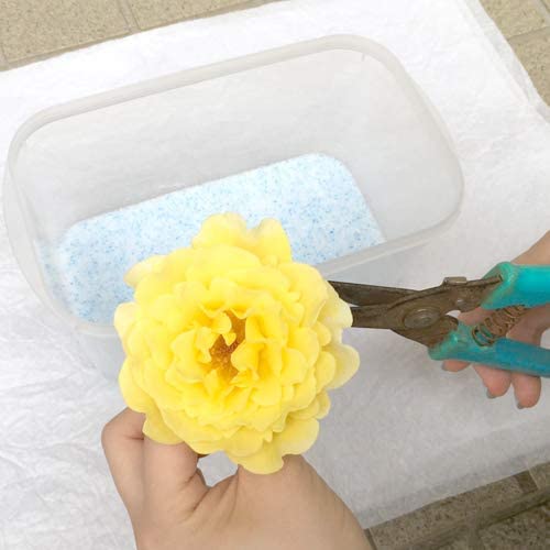 ドライフラワー 花材 髪飾り ブーケ スワッグ 花束 リース シリカゲル 乾燥剤 ドライフラワー用 1kg 材料 くり返し使える ハンドメイド 500g 最高の品質の 2袋 業務用 2袋 細粒シリカゲル 大容量 Ijinjin 計1kg Df500g