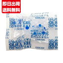 シリカゲル 食品用 乾燥剤 1g 100個 ×5袋 計:500個 送料無料 ■SA1g 100個 ×5■