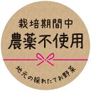 栽培期間中 農薬不使用 クラフトシール 栽培期間中 農薬不使用 地元の採れたてお野菜 48枚〜