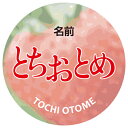 イチゴ 品種名 とちおとめ 24枚 × 5シート（計：120枚）いちご 品種 苺 産地入れ 名入れ■ 7文字まで（スペースは1文字）