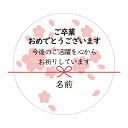 【名入れ】ハンドメイド 大きいめ 4cm正方形 定番 メッセージシール さくら ご卒業おめでとうございます 今後のご活躍を心から お祈りしています さくら 花びら 水引き 24枚 ■24a0011/m24a0071■