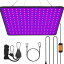 GREENSINDOOR ʪ饤 led ѥ饤 400W ʪ led ѥͥ饤 ̺  ѥ饤 ­