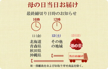 色物お洒落半衿(半襟) 菊模様/サーモンピンク 結婚式 成人式 フォーマル サーモンピンク