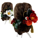 髪飾り 和装 椿 南天 12点セット 花 着物 ヘアアクセサリー ヘッドドレス 水引 赤 白