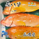 赤ハタ 1kg 1尾約300~500g あかはた 長崎県 清蒸 中華料理 刺身 唐揚げ 煮つけ