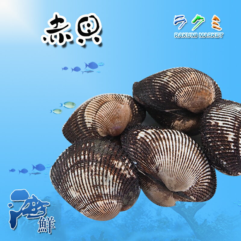 活赤貝 殻付き 5kg (1kg 約7-10個) アカガイ 贈り物 お祝い 刺身 煮つけ 酒蒸し 寿司ネタ