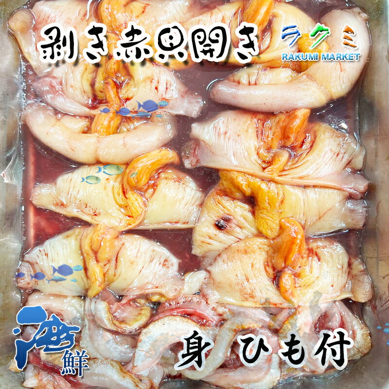 活赤貝 生開き 大サイズ 5p（1p 8-10枚入） ひも付 あかかい開き お刺身 寿司ネタ 煮付け、