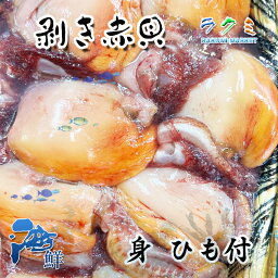 活赤貝 むき身 大サイズ 30個 ひも付 あかかい剥き身 煮付け 炒め 酢の物 サラダ