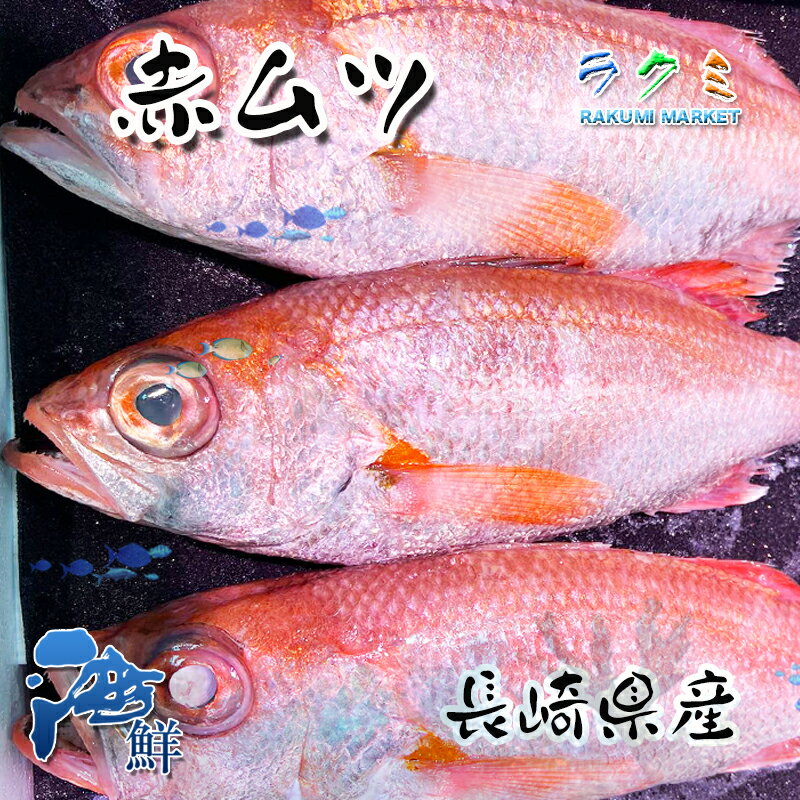 商品詳細 名称 ノドグロ　赤ムツ 内容量 3kg 1尾約 250~350g 保存方法 冷蔵 産地名 長崎県産 商品詳細 超高級魚のどぐろです。 脂のノリはピカイチ！ 身が柔らかく、濃厚な旨みがあり、脂からの甘みも強い魚です。 良いダシが出る為、味噌汁やお鍋などにも人気です。 煮つけ、塩焼き、刺身、ムニエル、フライ、唐揚げなどでも美味しくお召し上がり頂けます。 ぜひこの機会にお試し頂きたいオススメ商品です！ 配送方法 ヤマト運輸のクール便※こちらの商品は冷凍便での発送となります。 冷蔵商品と同梱出来ませんので、ご了承お願い致します。 賞味期限 冷蔵保存で2日以内にお召し上がりください。 備　考 ※写真はイメージです。計量致しますので、実際の商品の見た目とは多少異なる場合が御座います。 ※日時指定の場合、天候（時化などによる入荷の遅れ）・配送上の都合により指定された通りにお届けできない場合がありますので、基本は日付指定はお受けできません。ご理解下さい。 上記をご了承頂ける方のみ日付指定をお受け致します。その場合、指定は10日以内でお願い致します。 ※日付指定優先の場合、入荷状況により予告なくメーカーが変更になる場合が御座います。 その場合発送時、メールでご連絡させて頂きます。