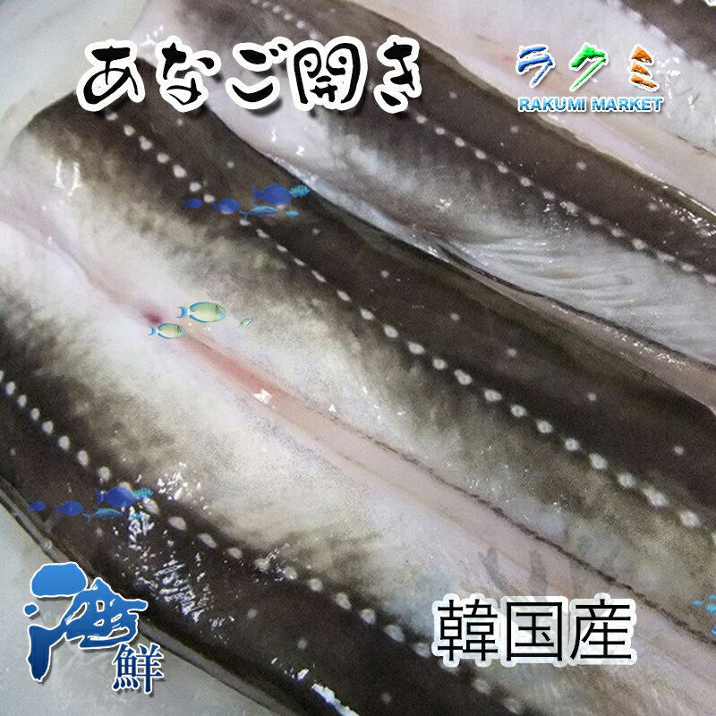 穴子 1kg 31/35サイズ 約15尾 開き 天ぷら用 アナゴ あなご 煮穴子 天ぷら