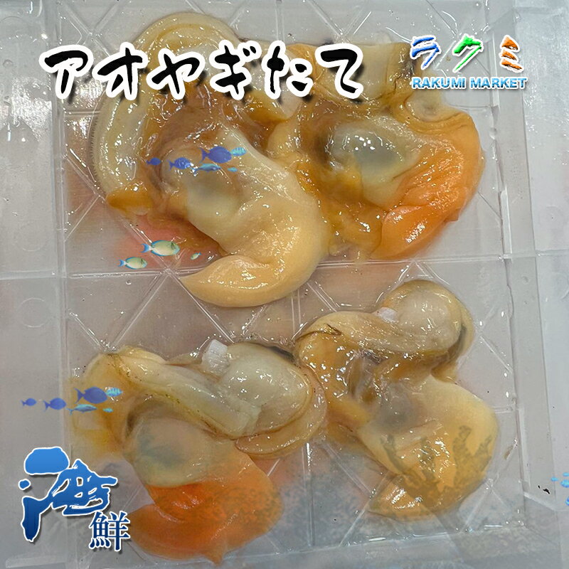 アオヤギたて 1P 4個入 あおやぎたて バカガイ 煮物 汁物 さんが焼き