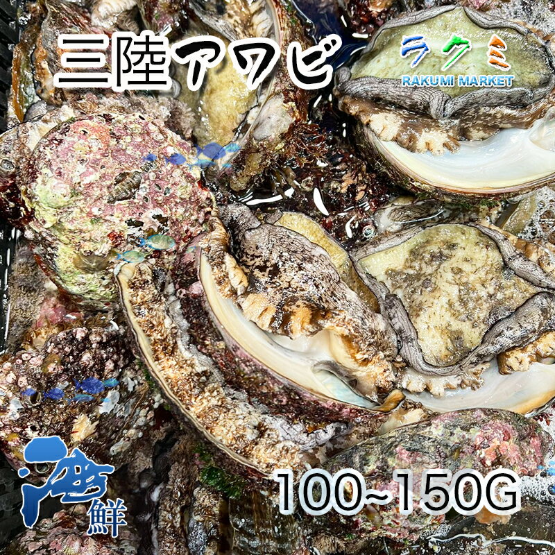 天然 活アワビ 三陸産 1kg 1個 約100〜150g 刺身 中華風 天ぷら 炊き込みご飯