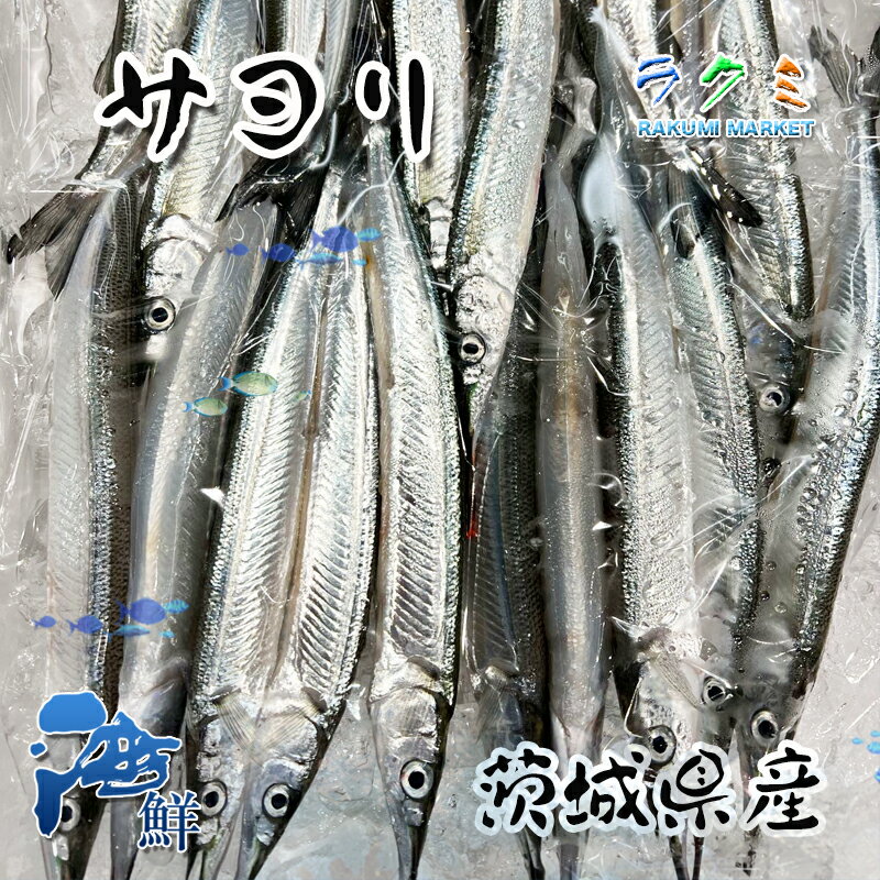 茨城県産 サヨリ 3kg（1kg 1尾 60~80g） 細魚 針魚 さより刺身 塩焼き 天ぷら