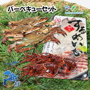 海鮮 BBQ バーベキューセット 冷凍伊勢海老 冷凍渡りガニ スルメイカ開き 3種セット 訳あり お祝い ギフト 贈り物 お土産